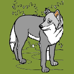 Wolves coloring pages for kids