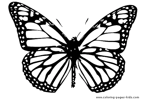 Best Pictures Artwork butterfly coloring pages for kids