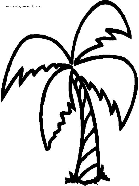 Tree color page, coloring pages, color plate, coloring sheet,printable coloring picture Palm tree