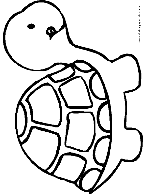cute coloring pages of turtles
